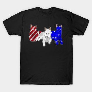 Cat Red White Blue American Flag 4th Of July Gift T-Shirt